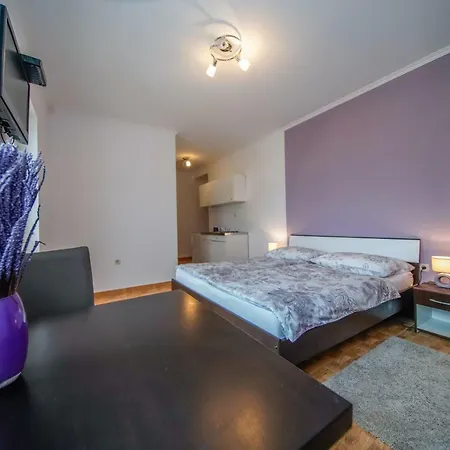 Apartment Ivanka Ston